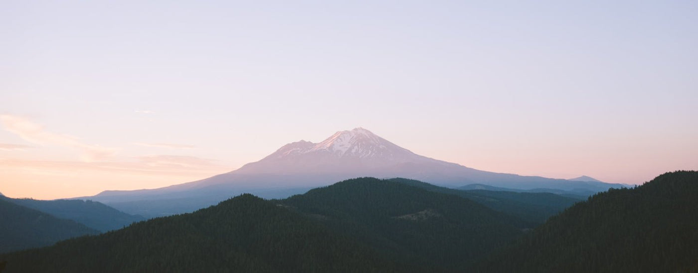 Mt. Shasta Buffalo Jackson