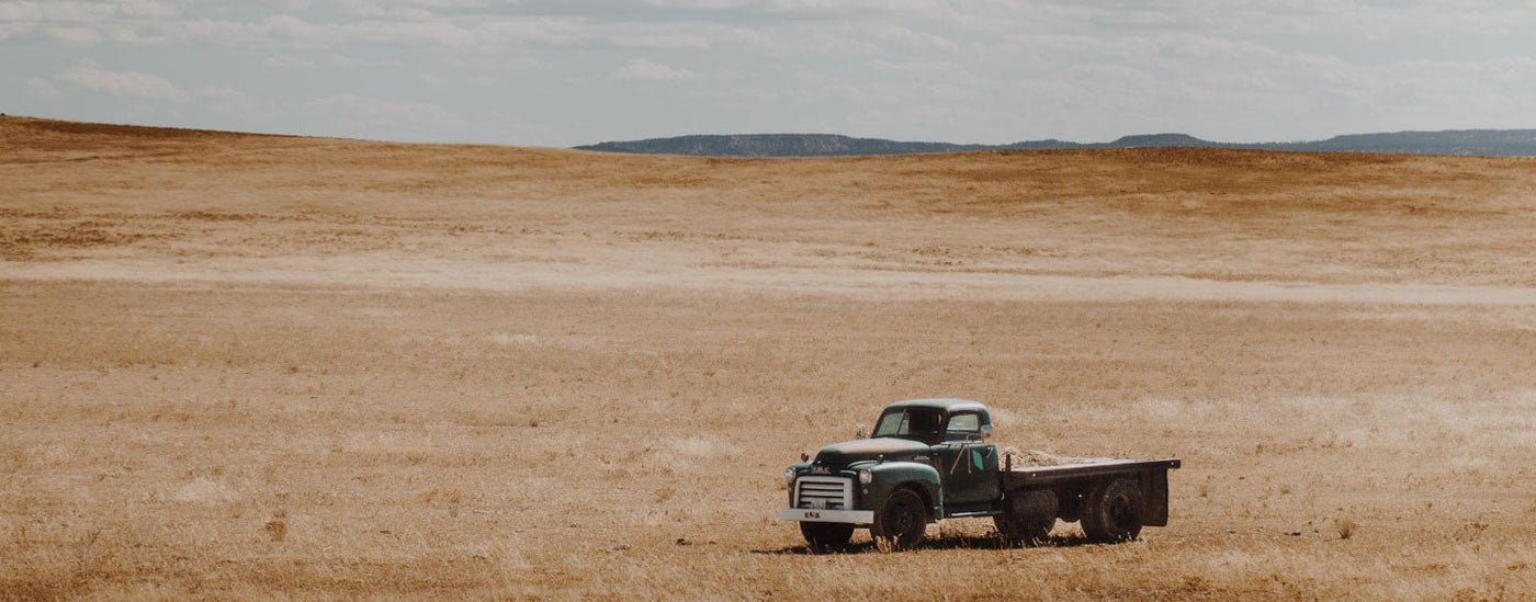 Old Truck Buffalo Jackson