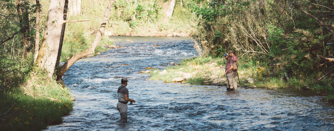 Find Your Creek